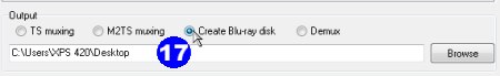 TsMuxeRGui_blu-ray.jpg