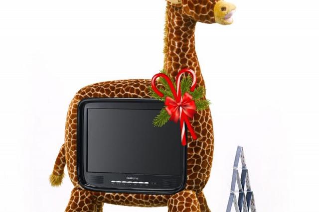 Et le vainqueur de la TV Hannspree Girafe est (...)
