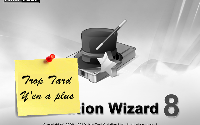 MiniTool Partition Wizard 8 Professional Edition (...)