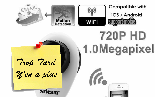 Caméra Wifi HD Sricam SP009 720P compatible mobile à (...)