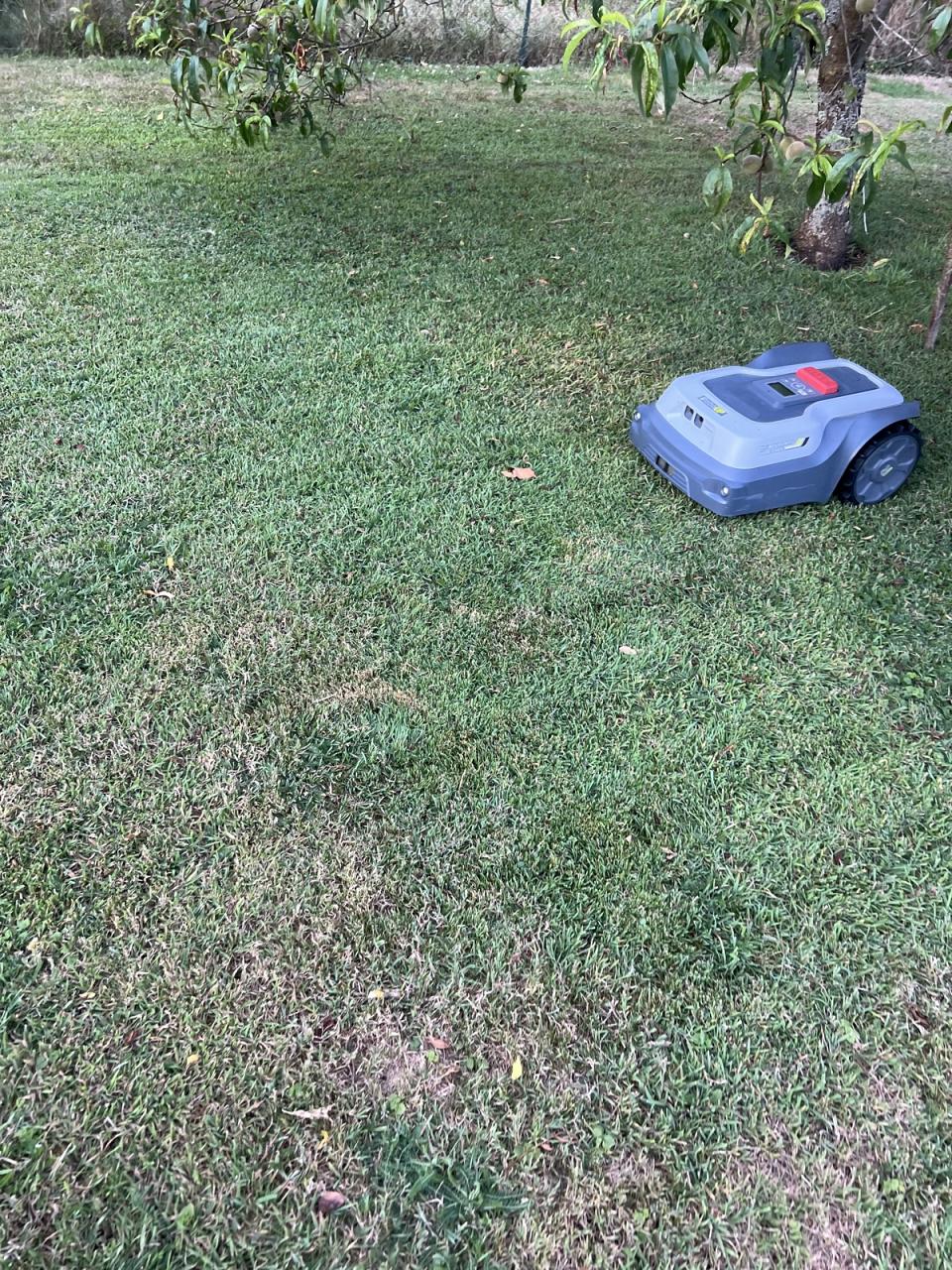 JPEG - 1.1 Mo