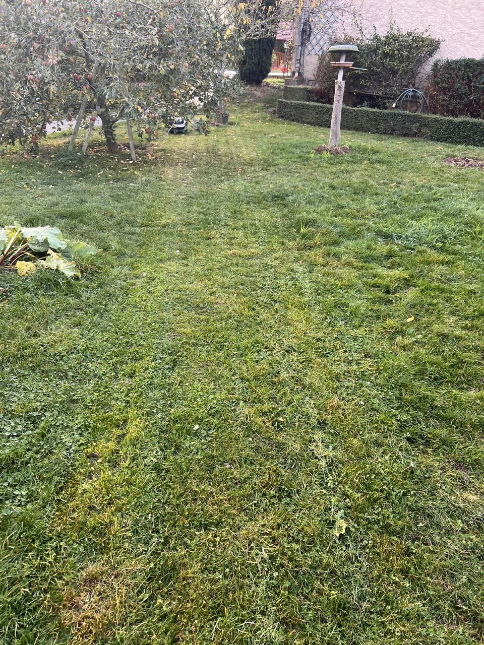 Début de tonte en mode parallèle