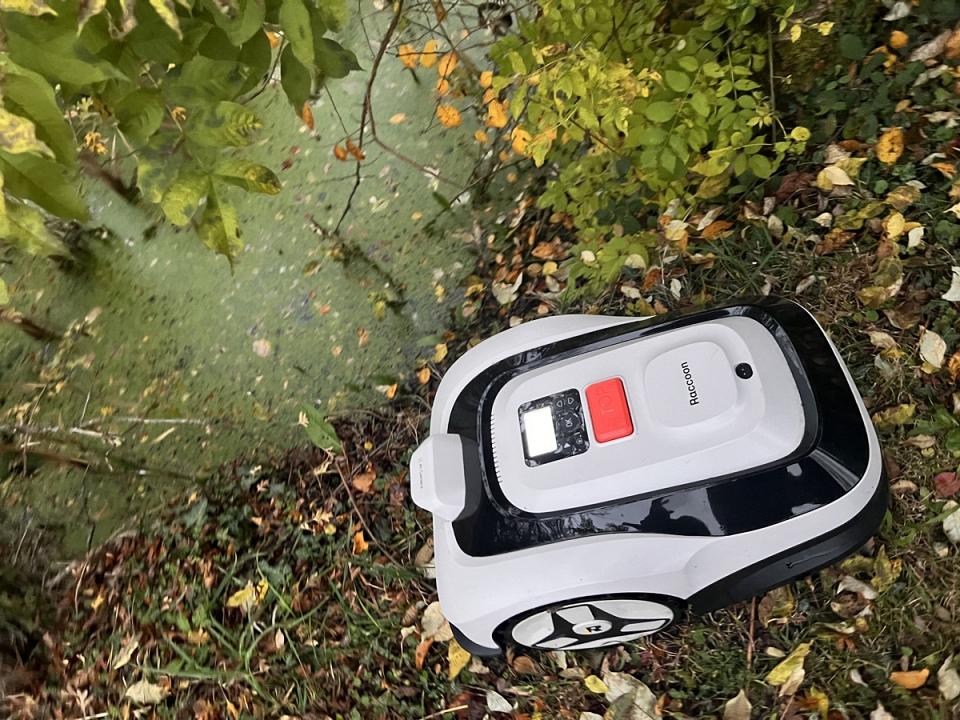 Le têtard veut retourner dans l'eau… ?