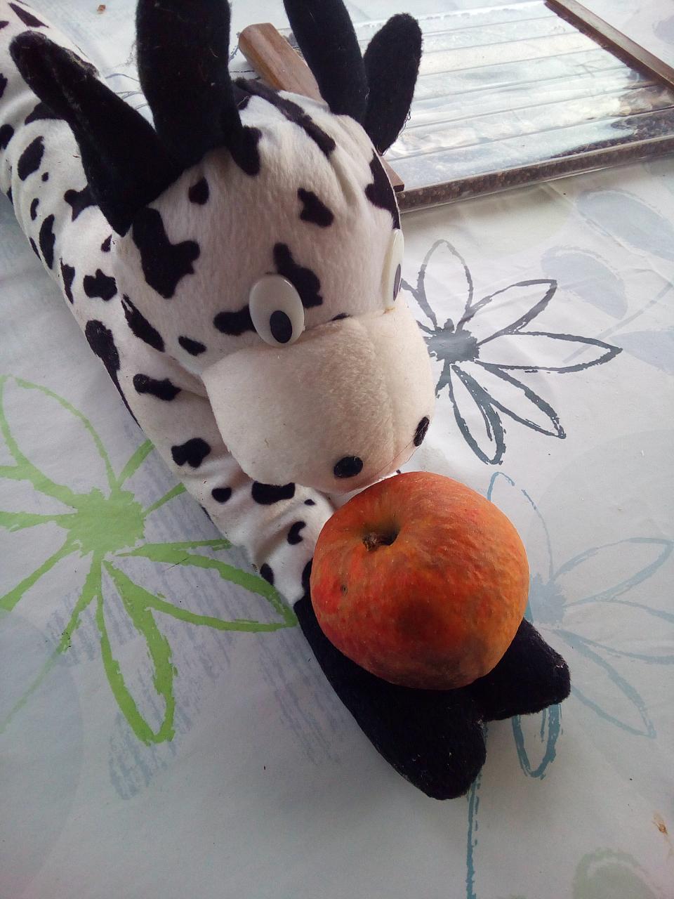Test Photo Oukitel K4000 - Cliquez pour agrandir