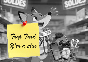 Deal expiré Soldes Hivers 2026, où acheter et bons plans Hi-Tech et (...)