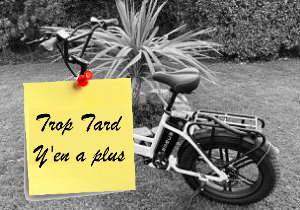 Deal expiré Le Fat Bike électrique certifié route ENGWE L20, cadre (...)