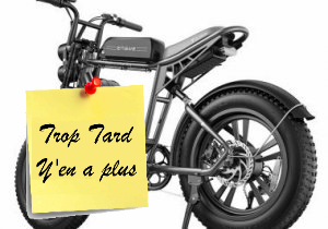 Le Fat Bike aventure Look moto ENGWE M20 à 1009€ Stock (...)