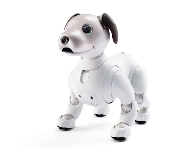 Le Robot Chien Sony Aibo