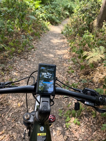 Dans la forêt, ça secoue un peu à l'arrière