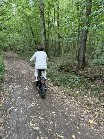 A l'aise en forêt