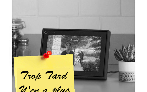 Facebook Portal mini, Alexa et applications videoconference