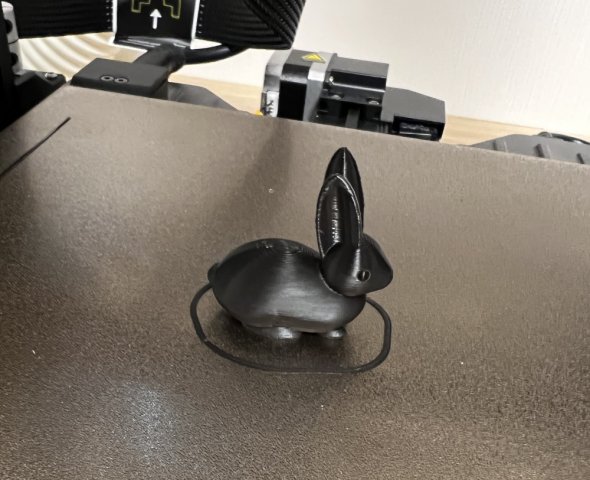 Le lapin présent sur la carte SD