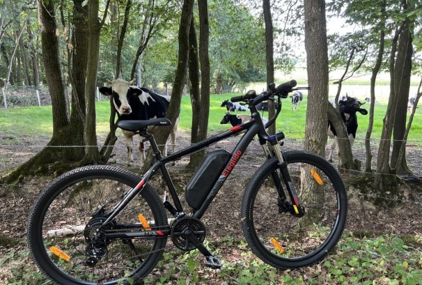 Test Eleglide M2, un VTT électrique loisir certifié et abordable 