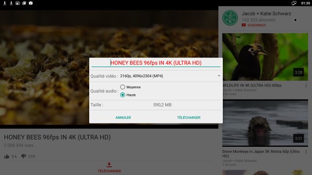 OGYoutube télécharge les vidéos 4K de Youtube