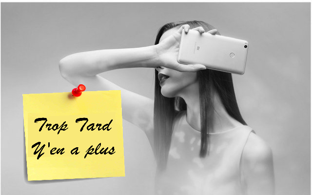 Smartphone géant Xiaomi Mi Max 2 Global, Snapdragon 625, (...)