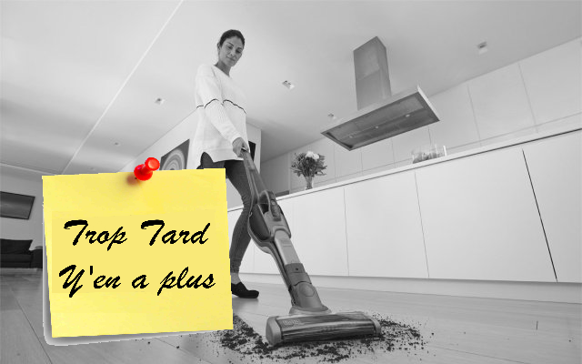 Aspirateur Balai et à main Black Decker SVJ520BFS-QW (...)