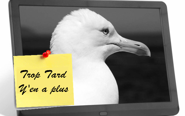 Cadre photo numérique 10 pouces Photo/Vidéo FullHD IPS à (...)