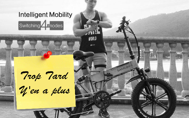 SAMEBIKE XWLX09, FAT BIKE 20 pouces 500W à 1077€ Stock (...)