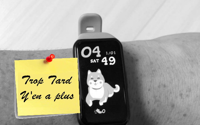 Bracelet Honor Band 6 à 24,43 Livraison Europe rapide