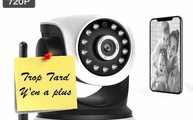 Caméra IP WiFi HD motorisée 360°, Vision nocturne, carte (...)