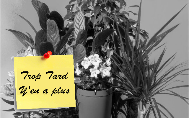 Pot connecté Parrot à 39€ (val 149€)