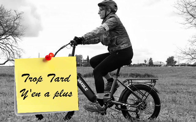 Le Vakole VT4, Fat Bike électrique pliant à cadre ouvert, (...)