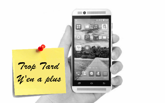 Smartphone entrée de gamme 3G 4,5 pouces AMIGOO H2000 à (...)