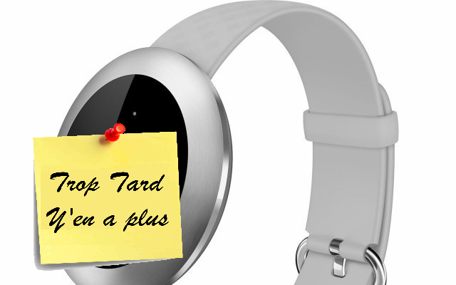 Smart Watch Huawei Honor Z1 Khaki, chic et pas chère (...)