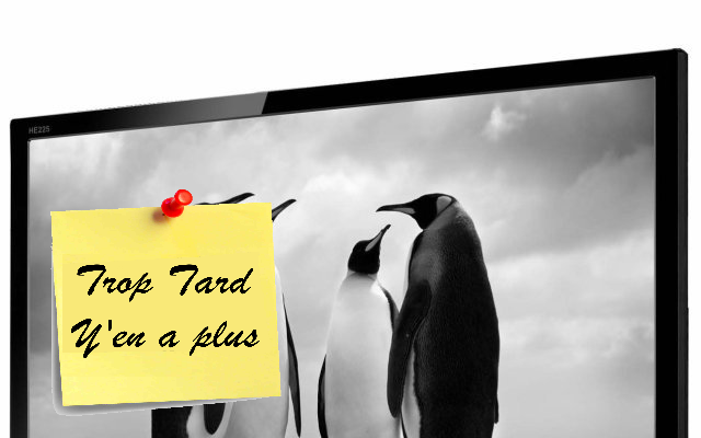 Moniteur 22 pouces HANNS.G HE225DPB VGA/DVI à 69€99 (...)