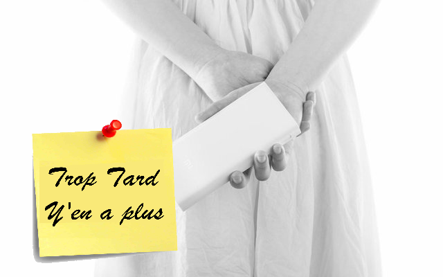 Batterie Xiaomi Power Bank 2C 20000mAh 2 USB (...)