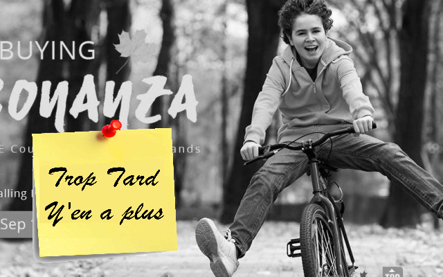 Foire d'automne chez Everbuying, smartphone, tablettes, (...)