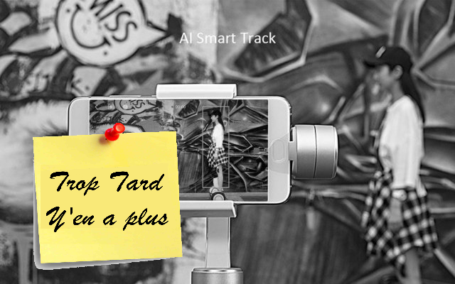 Stabilisateur 3 Axes Xiaomi Mijia SJYT01FM pour (...)