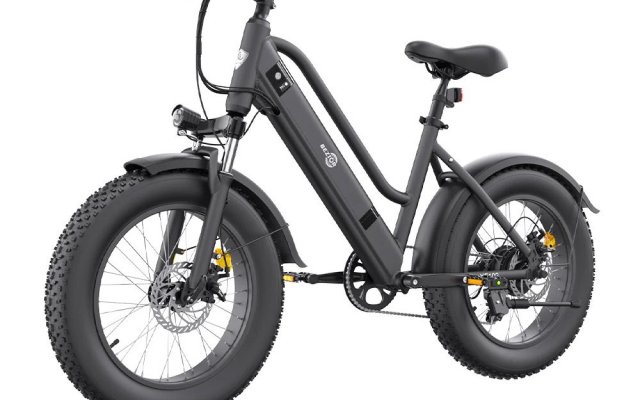 Fat bike 20 pouces pas 2025 cher