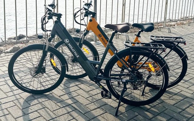 Molicycle R1, un vélo randonnée certifié route bien (...)