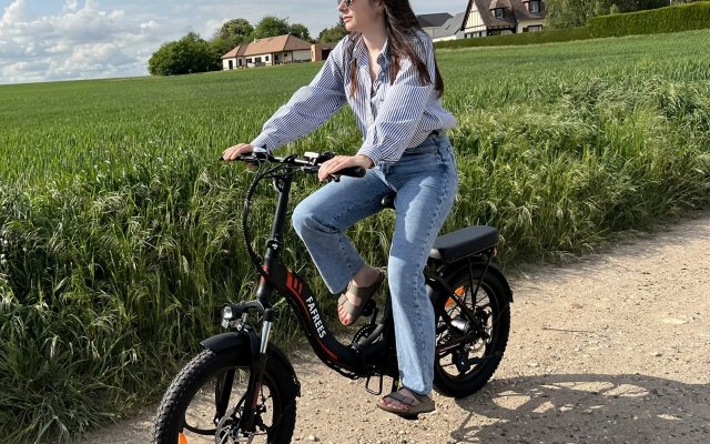 Fafrees F20 le bon City Fat Bike lectrique f minin pliant 819