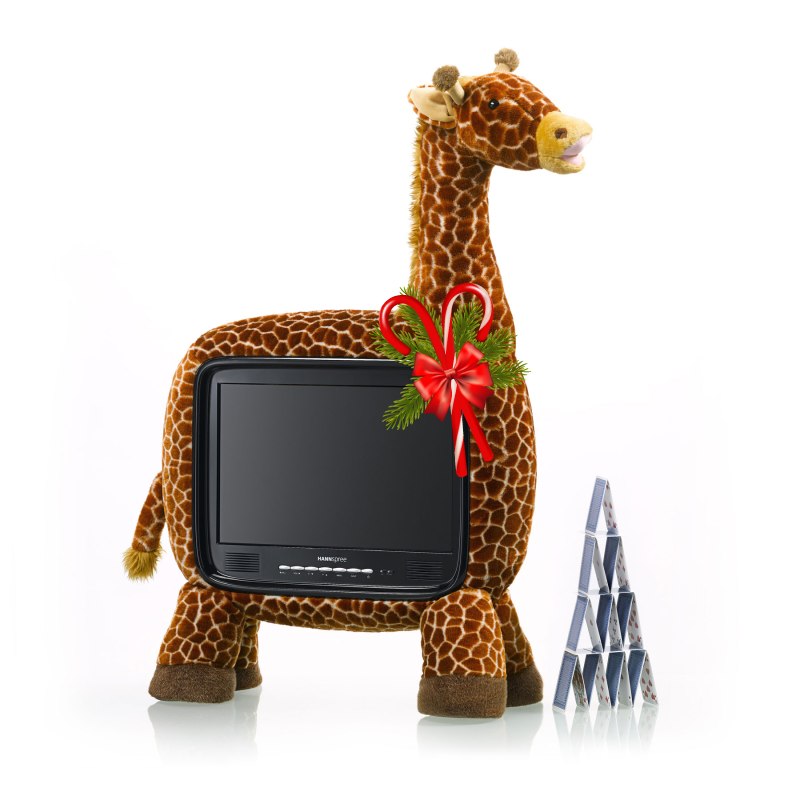 Et le vainqueur de la TV Hannspree Girafe est ....