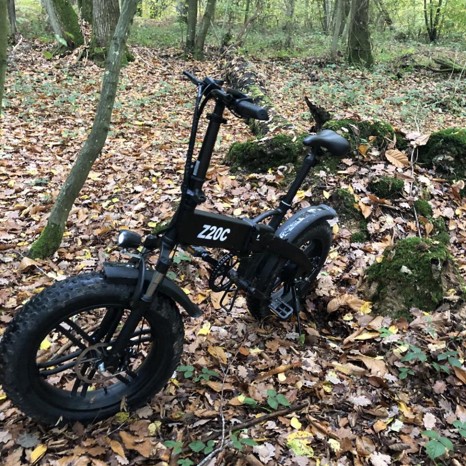 Génial en forêt 