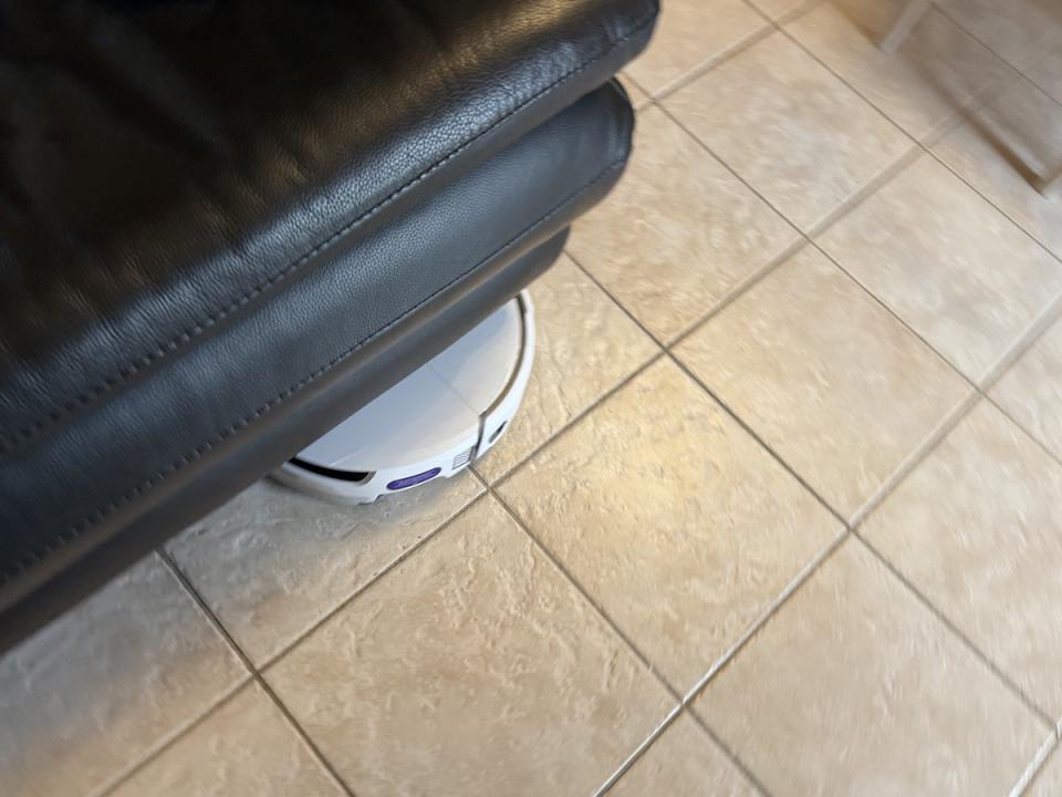 Il se faufille sous les canapés