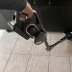 Jimmy H10 Flex en test, l'aspirateur balai sans fil qui (...) à la une