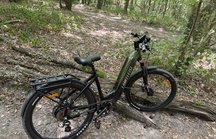 Logo Test Lankeleisi MG600 Lite : plus polyvalent qu'un VTT, (…)