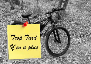 Le VTT électrique DUOTTS C29 , 29 pouces puissant à 839€ (…)