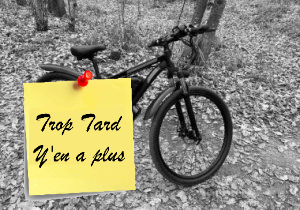 Le VTT électrique DUOTTS C29 , 29 pouces puissant à (...)
