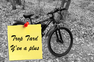 Deal expiré Le VTT électrique DUOTTS C29 , 29 pouces puissant à 839€ (...)