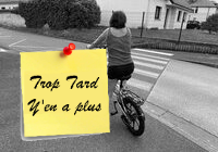 Deal expiré Le Engwe P1, vélo électrique pliant performant pour tous (…)