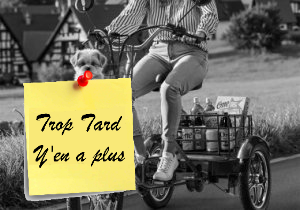Cysum T1 Pro : le tricycle électrique adapté pour les (…)
