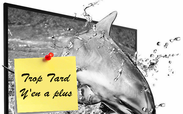 TV LED 3D TOSHIBA 40 pouces 319,99€ livrée (ODR (...)