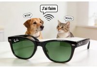 Deal Nouvelle maj lunettes META, elles traduisent maintenant (...)
