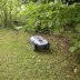 Test robot tondeuse RoboUP T1200 Pro, sans fil RTK pour (...) à la une