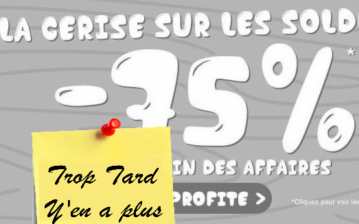 Liquidation -75% du coin des affaires LDLC