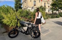 Logo Test Engwe L20 SE, fin 2026 ce semi Fat Bike cadre (…)